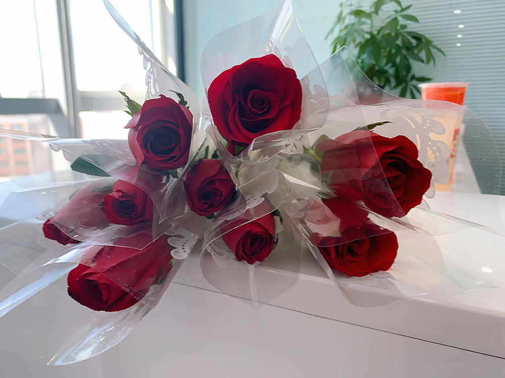 广州v88体育共庆38女神节(图3)