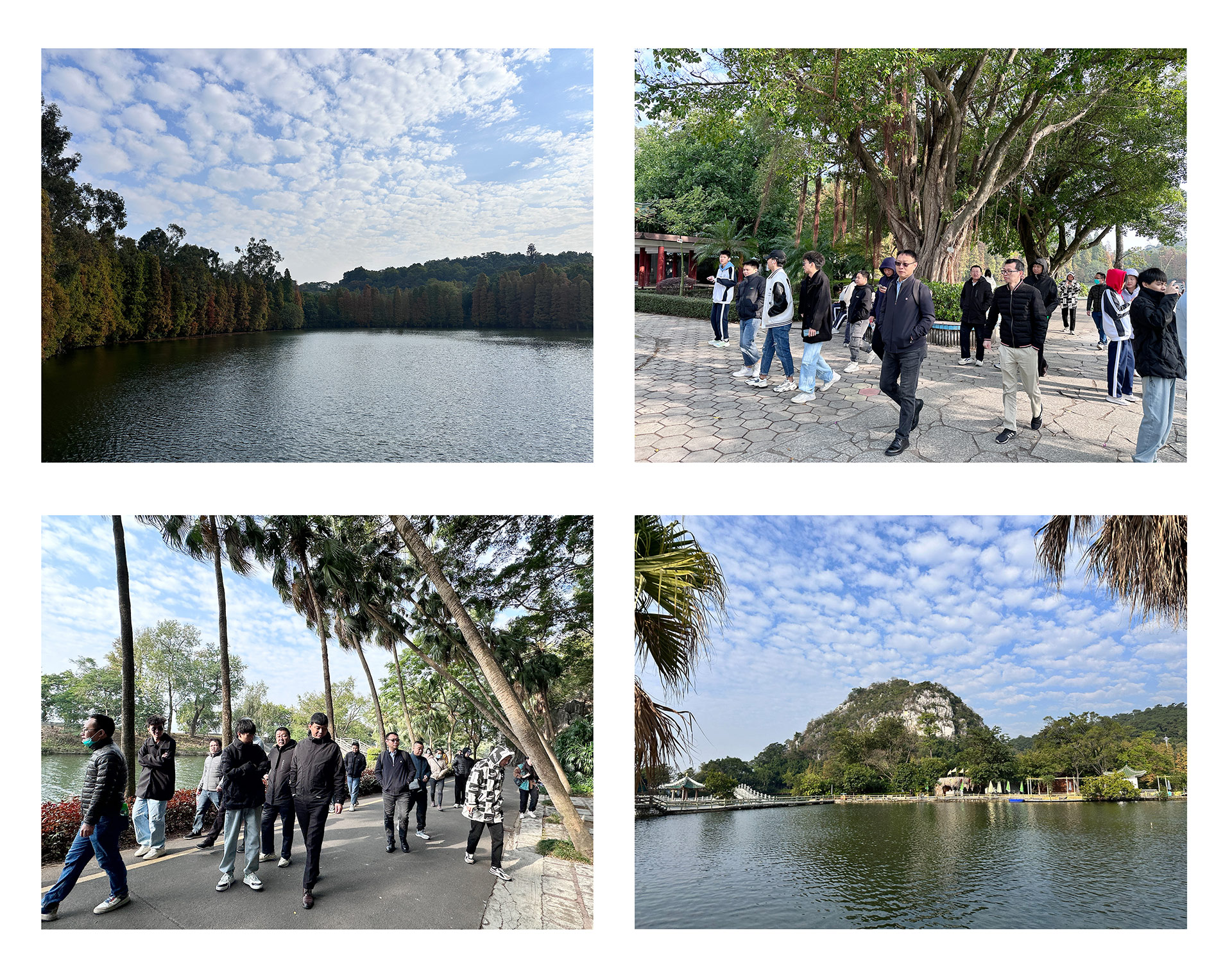 【团建日记 | v88体育肇庆七星岩团建活动】(图2) 【团建日记 | v88体育肇庆七星岩团建活动】(图2)