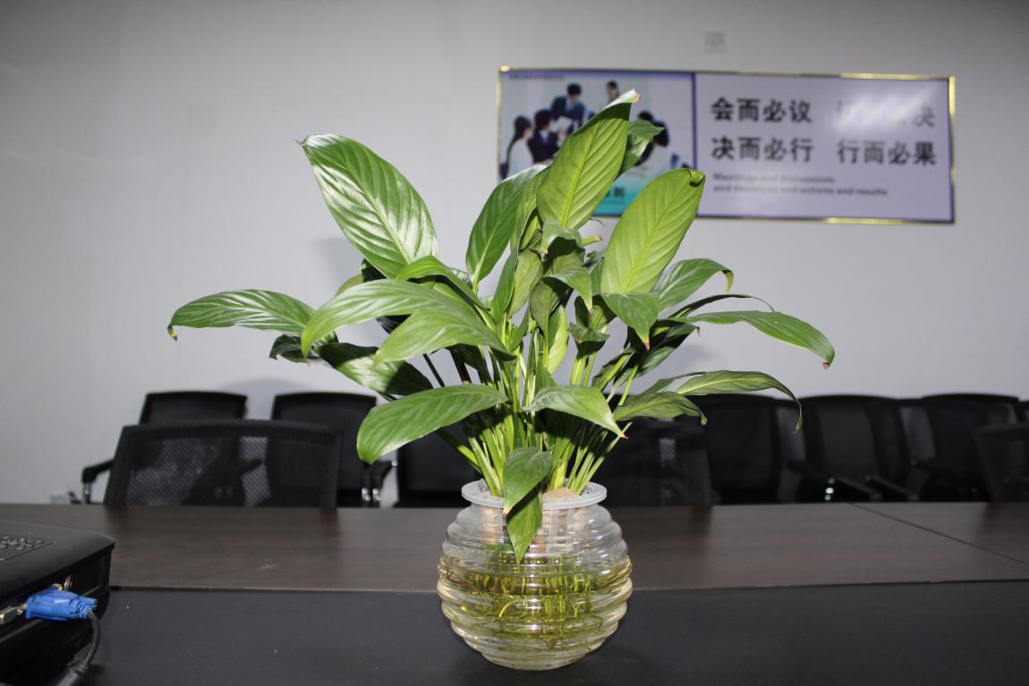 【v88体育】您的每一个生日 我都不想缺席 【v88体育】您的每一个生日 我都不想缺席